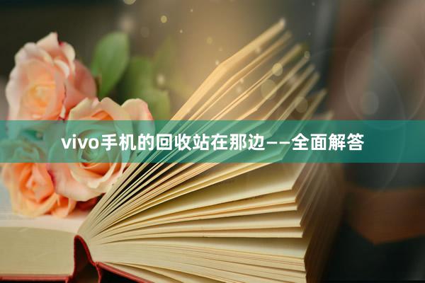 vivo手机的回收站在那边——全面解答
