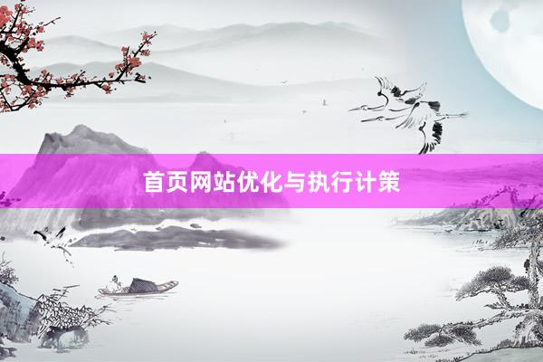 首页网站优化与执行计策