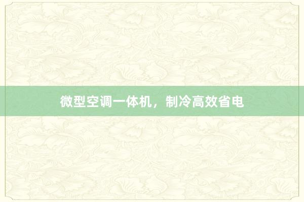 微型空调一体机，制冷高效省电