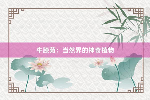 牛膝菊：当然界的神奇植物