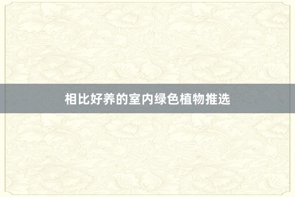 相比好养的室内绿色植物推选